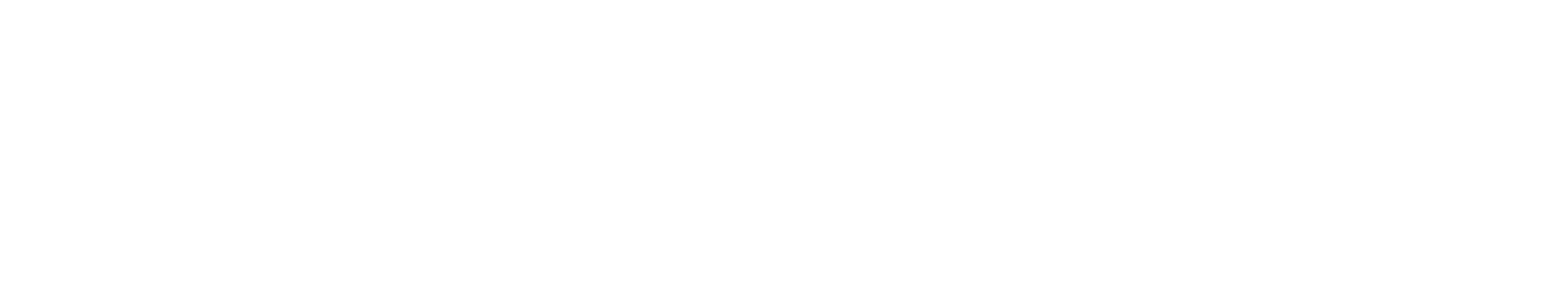 NARUCA SOLUTIONS